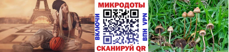 купить наркотики сайты  Гай  Псилоцибиновые грибы мухоморы 